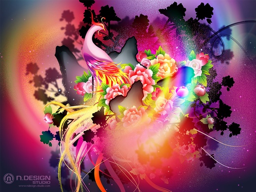 Featured Designer #8 | Nick La - Image 4