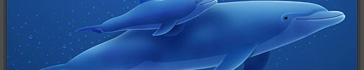 Making of Dolphins