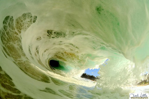 Clark Little Photography - Photo 7