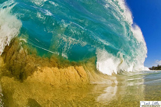 Clark Little Photography - Photo 10