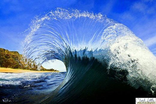 Clark Little Photography - Photo 17