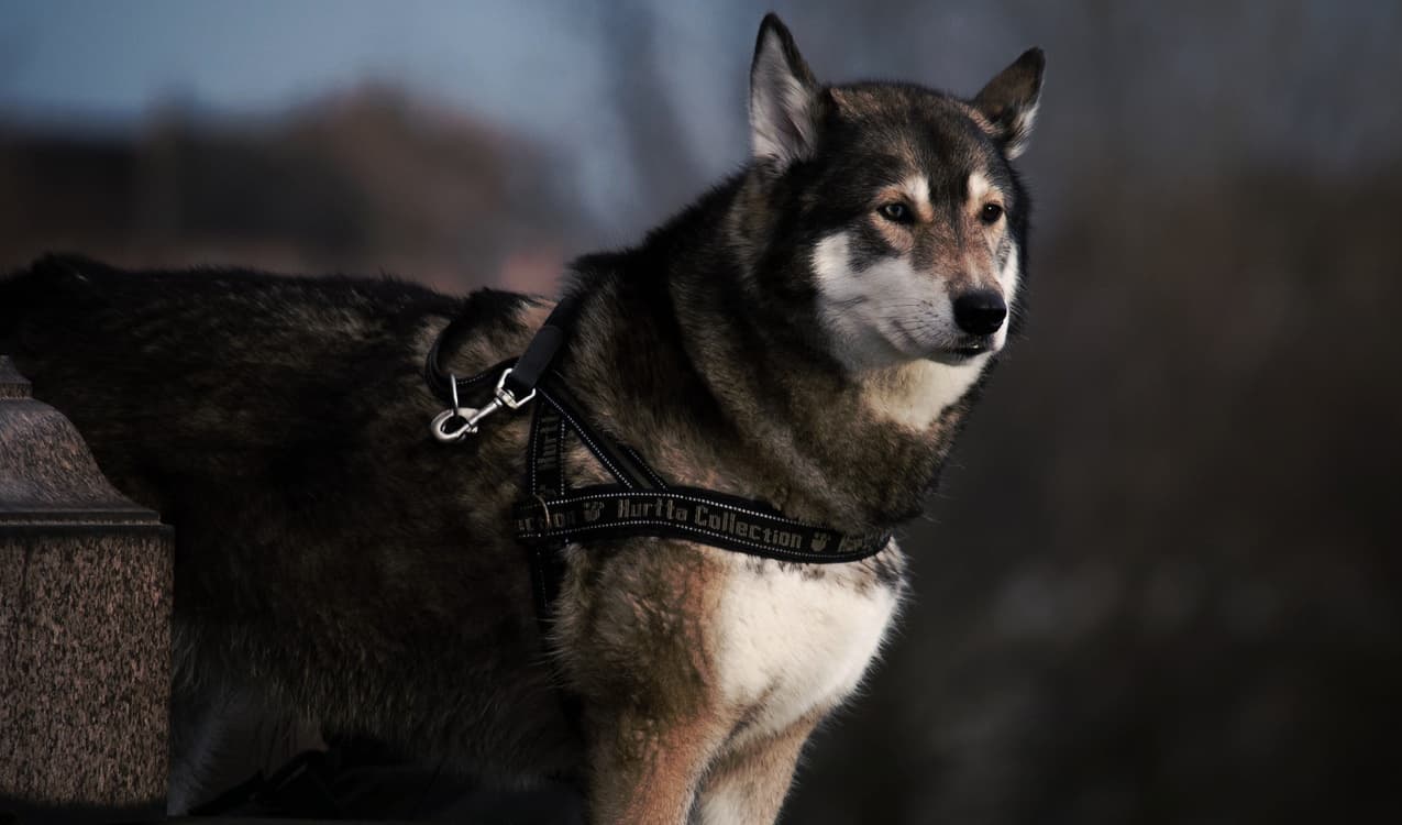 28 breathtaking images