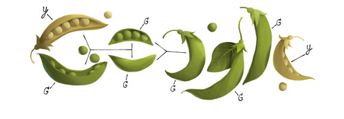 Gregor Mendel’s 189th Birthday Google Birthday Gregor Mendel’s 189th Birthday Google Birthday