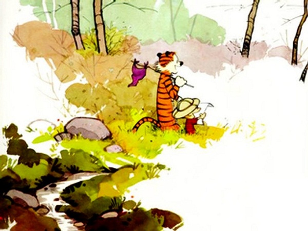 Calvin and Hobbes Greeting Card 9