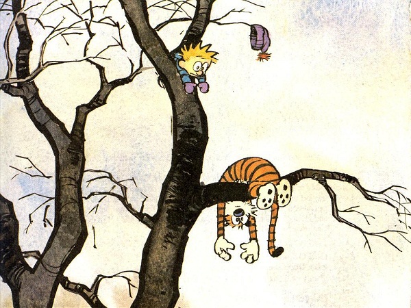 Calvin and Hobbes Greeting Card 14
