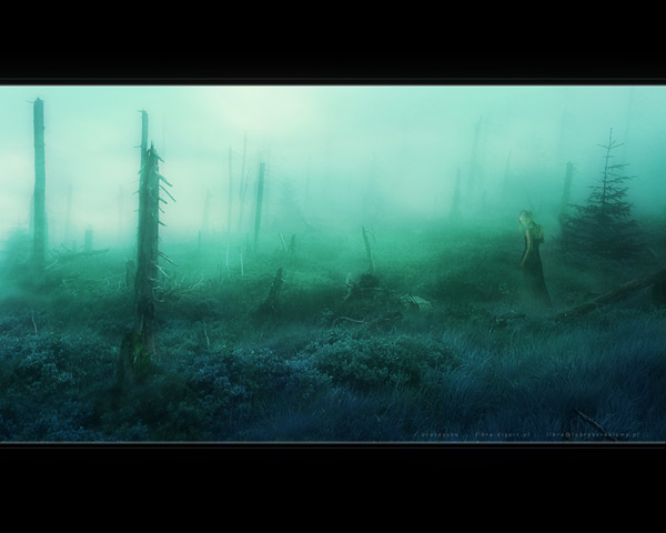 Dreamland