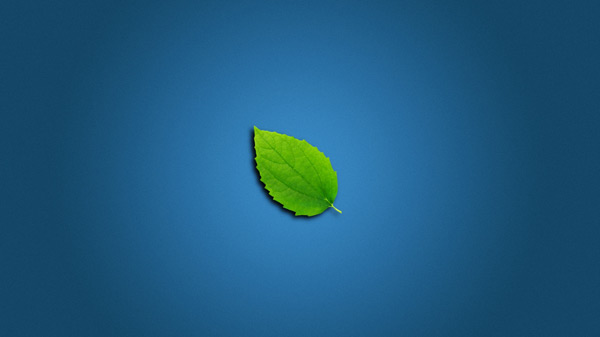 Lonely Leaf
