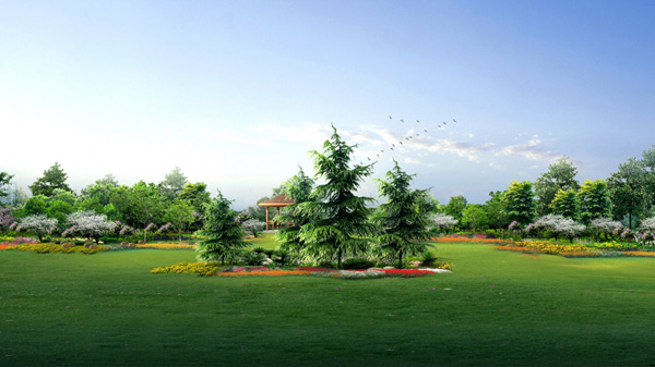 Wallpaper Designs 26