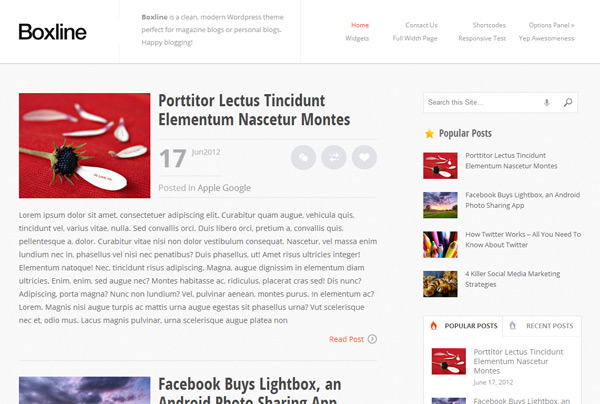 Boxline WordPress Theme