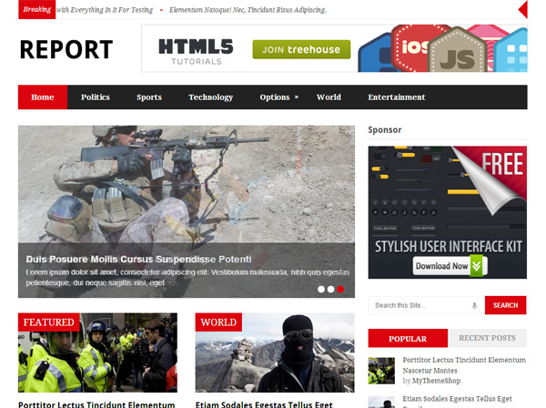 Report WordPress Theme