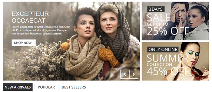 PrestaShop Top Section