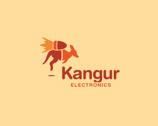 20. kangaroo electronics