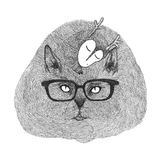 daily inspiration cats