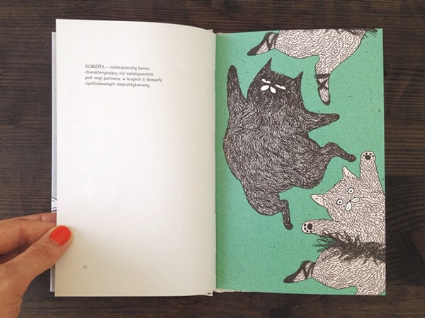 daily inspiration cats