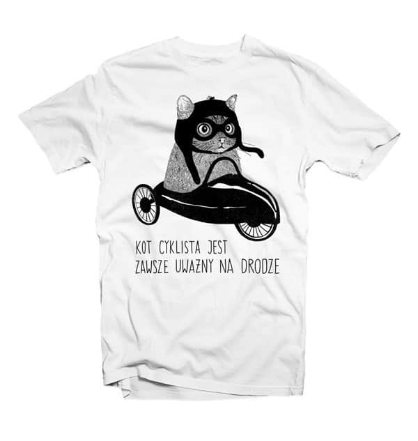 daily inspiration cats