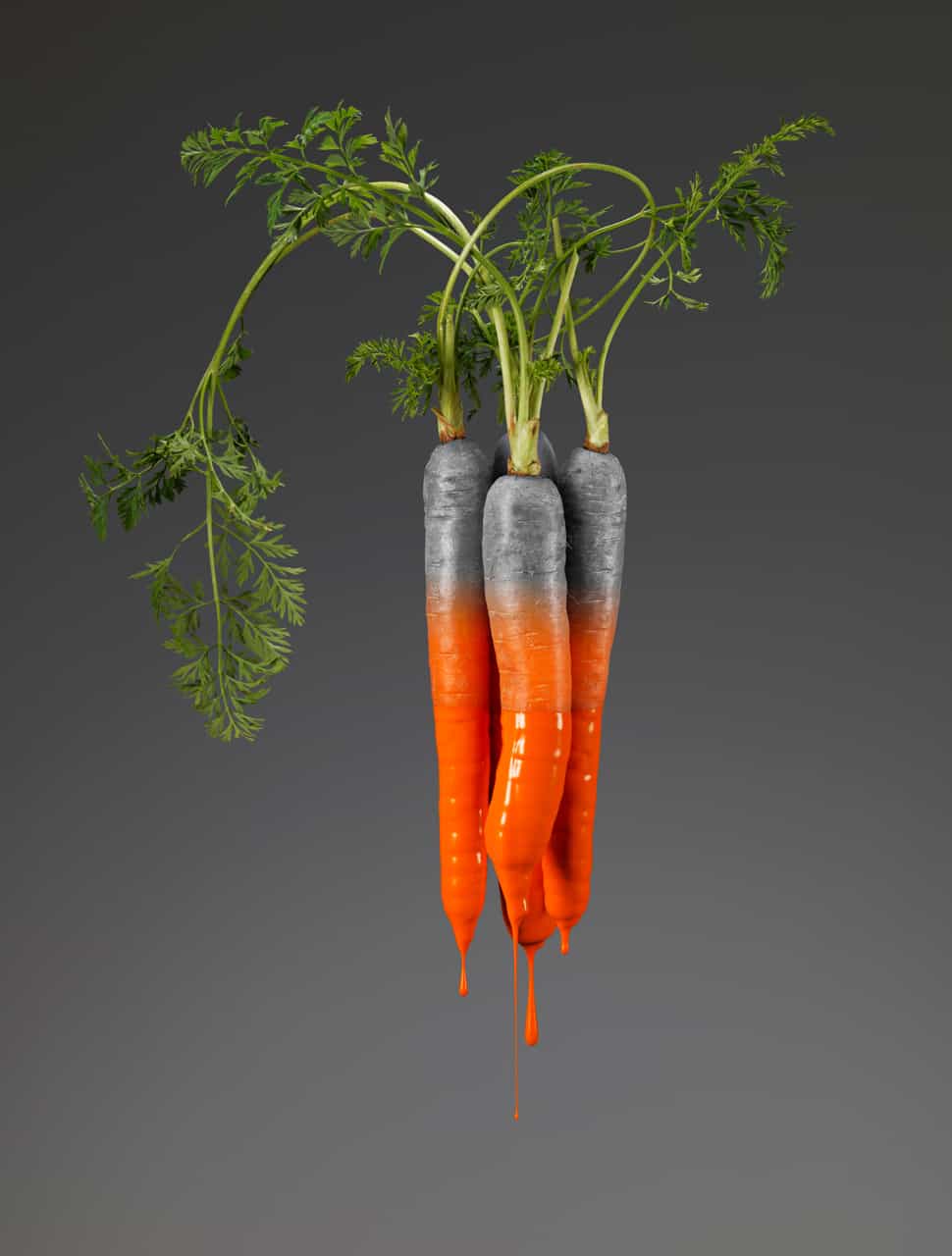 Featured Work: Colors of Life by Giorgio Cravero