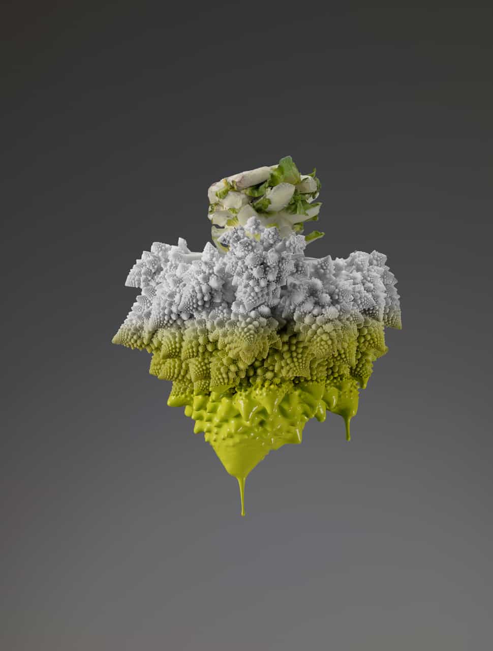 Featured Work: Colors of Life by Giorgio Cravero