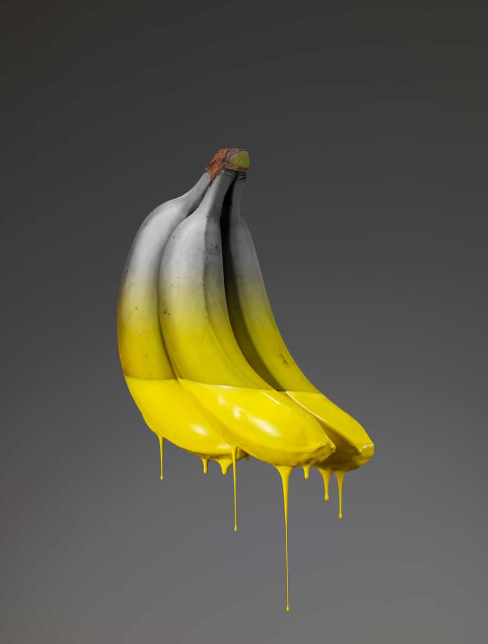 Featured Work: Colors of Life by Giorgio Cravero