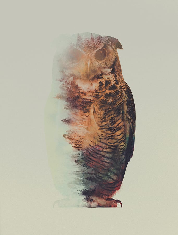 Stunning Double Exposure of Animals by Andreas Lie