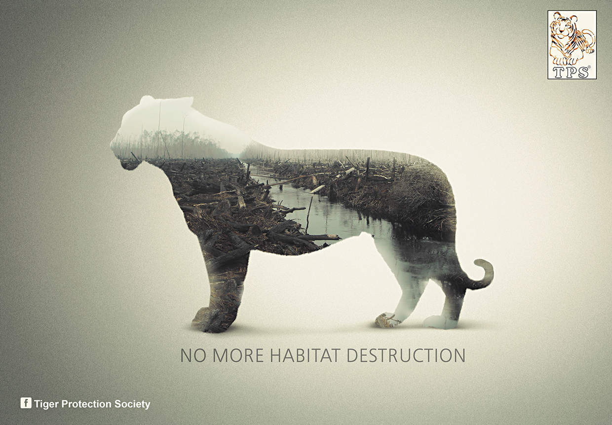 Daily Inspiration: Tiger Protection Society Ads