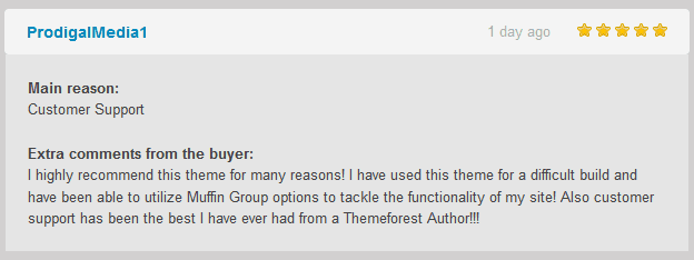 Super Productive Combo: High Quality Pre-made Layouts and World Class Support