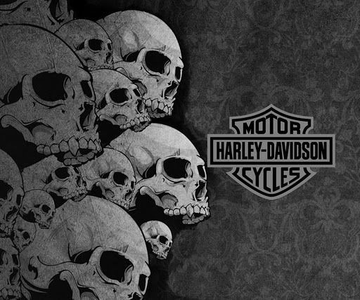  Harley  Davidson  Skull  Logo  History Bonus Wallpaper