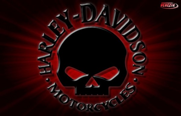  Harley  Davidson  Skull  Logo  History Bonus Wallpaper