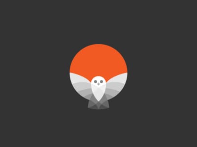 Night time owl logo