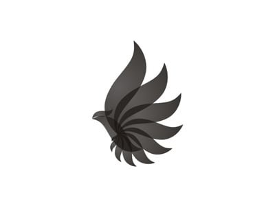Black bird logo