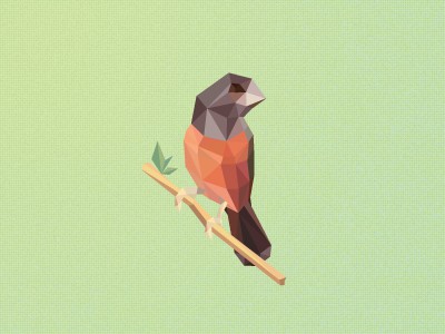 Polygon Bird design