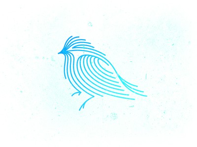 Blue lined bird