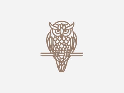 wise owl logo