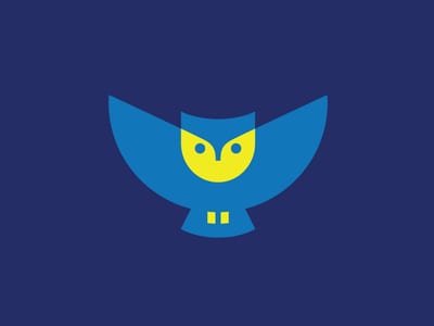 Open winged owl
