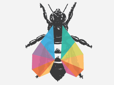 Bee with colorful wings