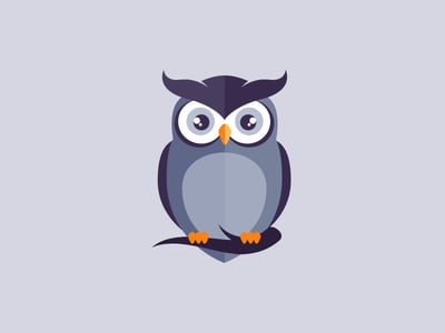 Wide-eyed owl design