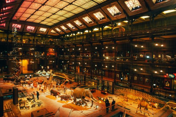 tumblr_nzp084kc5v1tkairwo1_1280