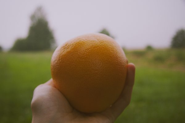 grapefruit in a hand