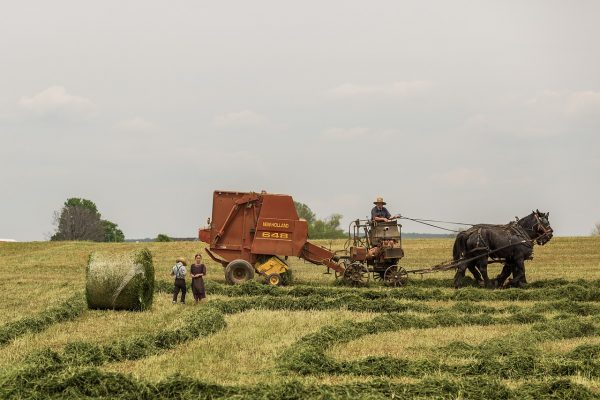 people working on the farm