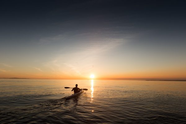 paddle
