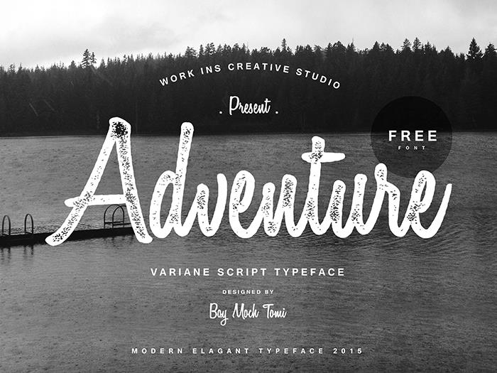 Variane Script Modern Font — Created in 2015 by Work Ins Studio